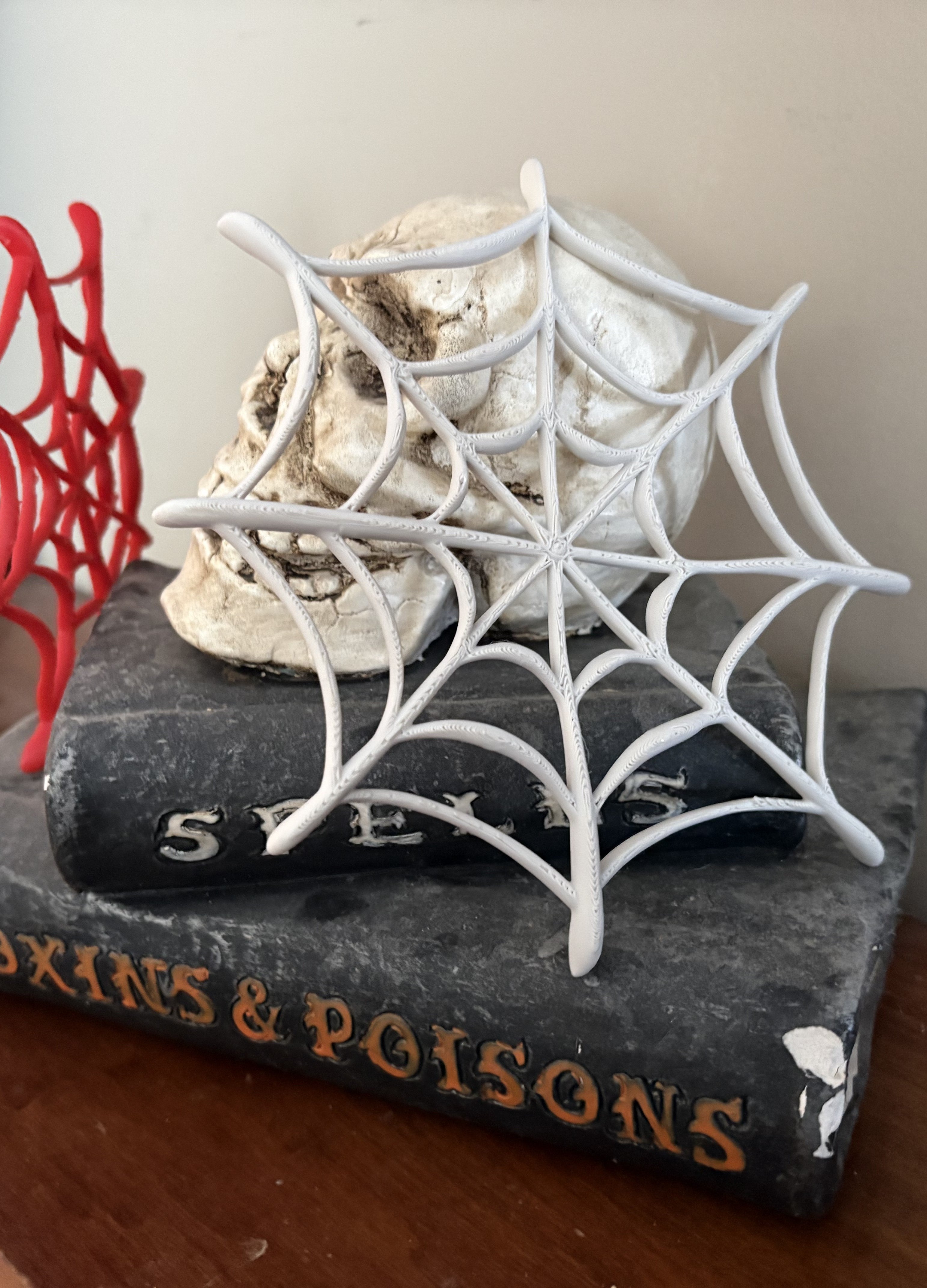 Halloween Spider Web Decoration