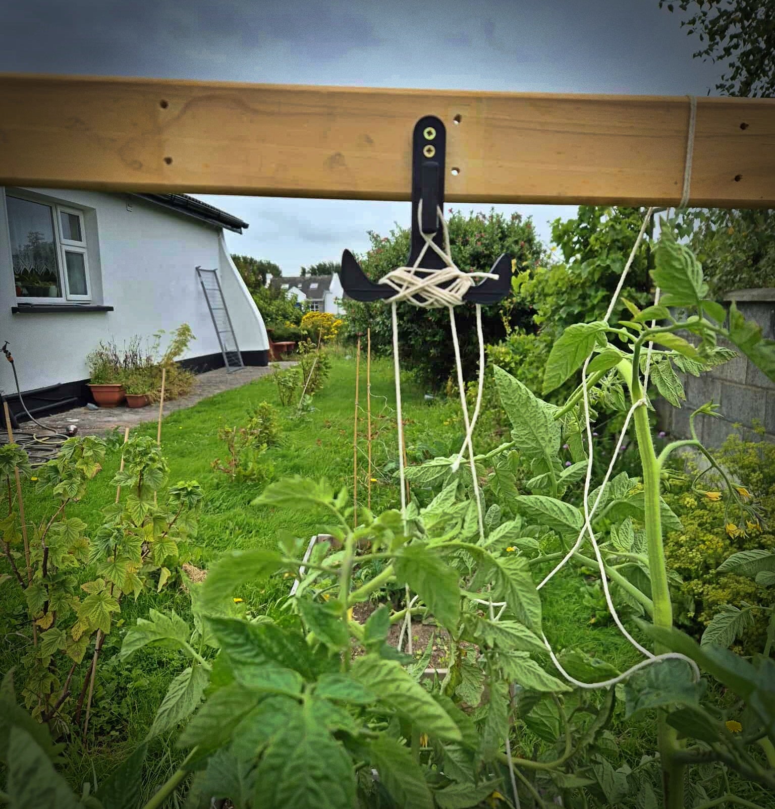 Plant Tie-Up Hook