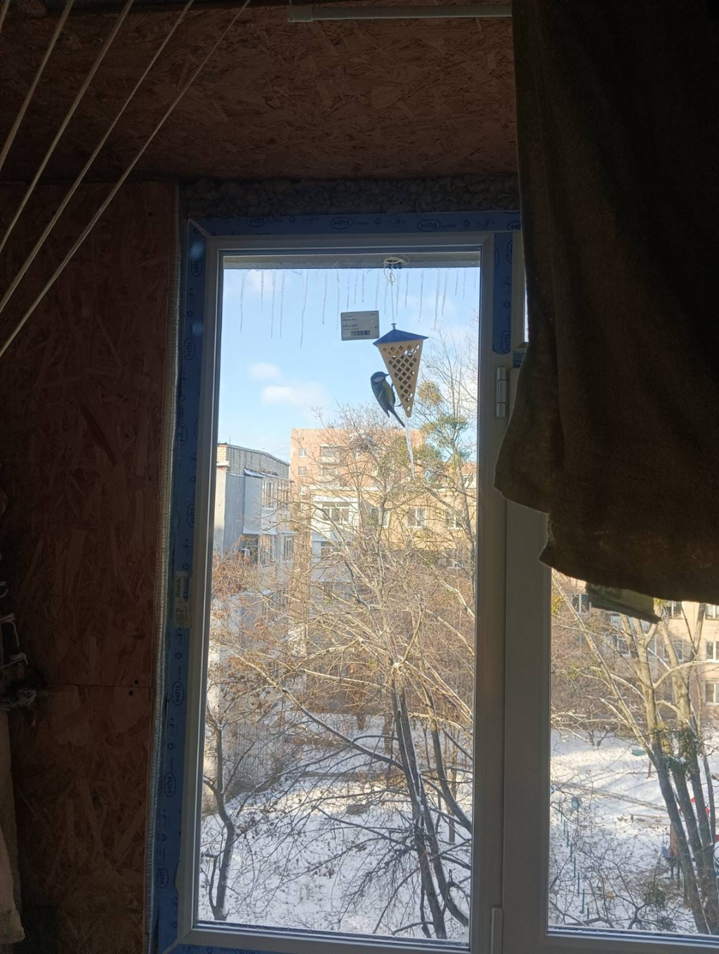 bird_feeder