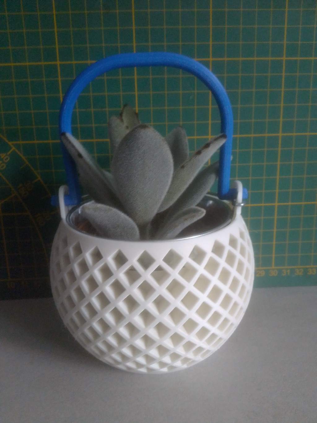 Plant pot with handle