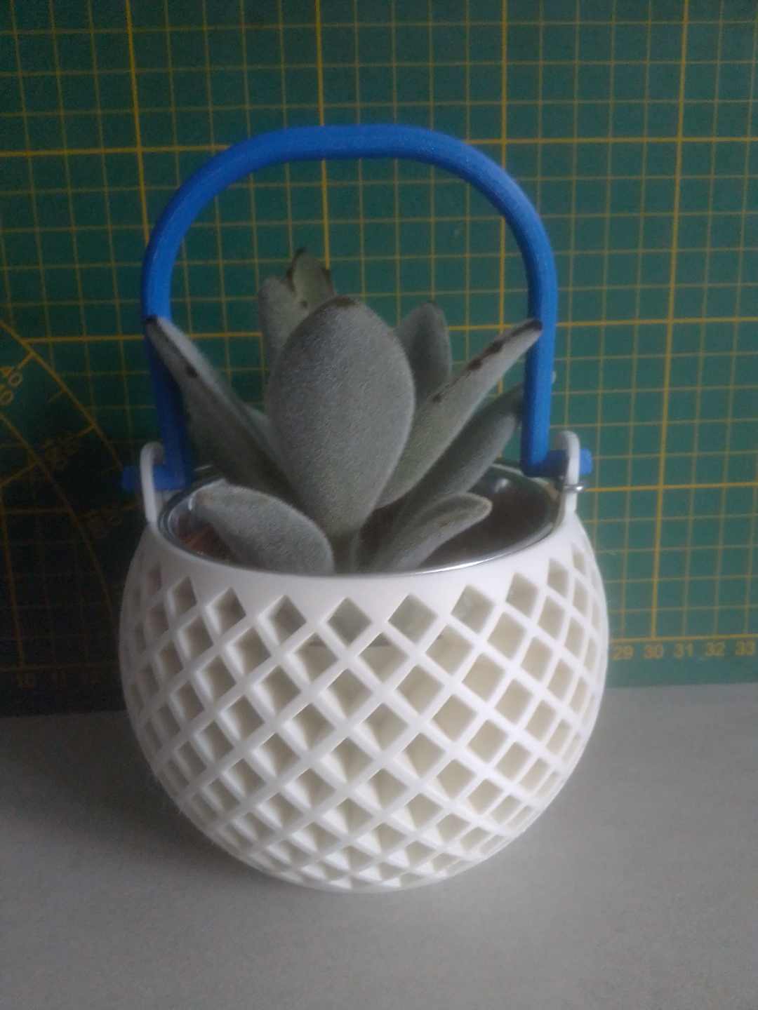 Plant pot with handle
