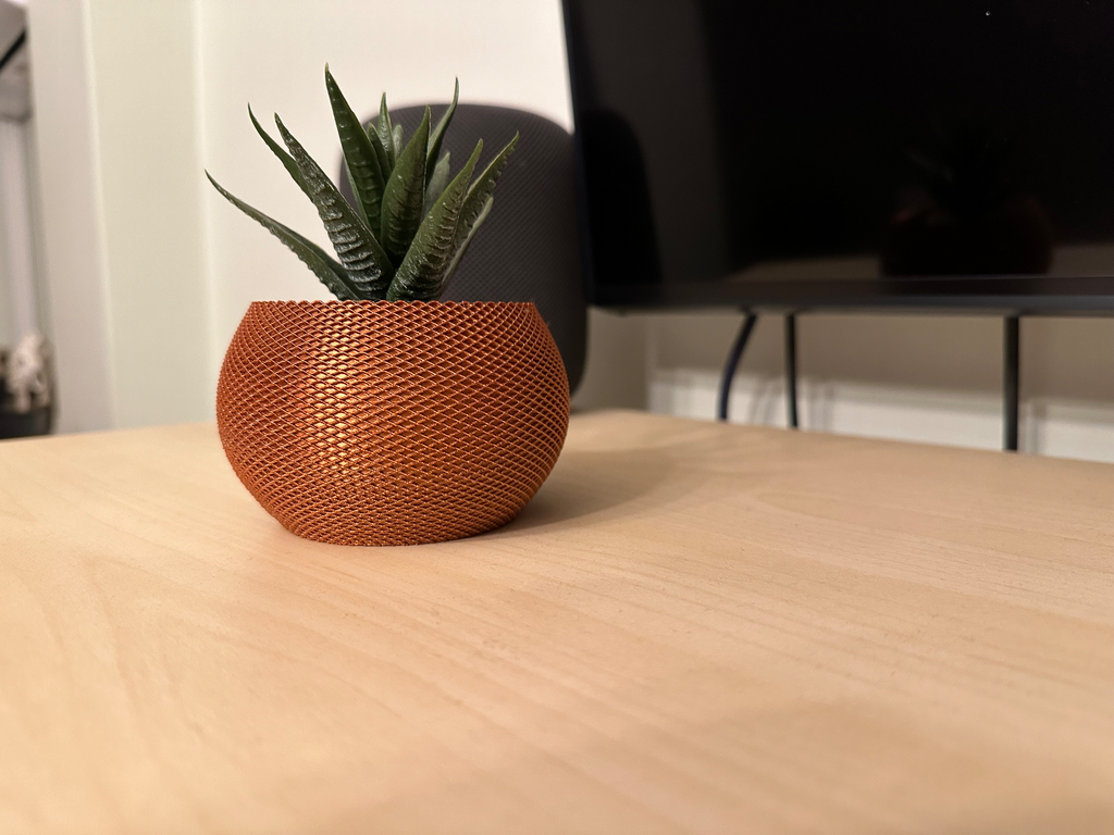 Vase for cactus