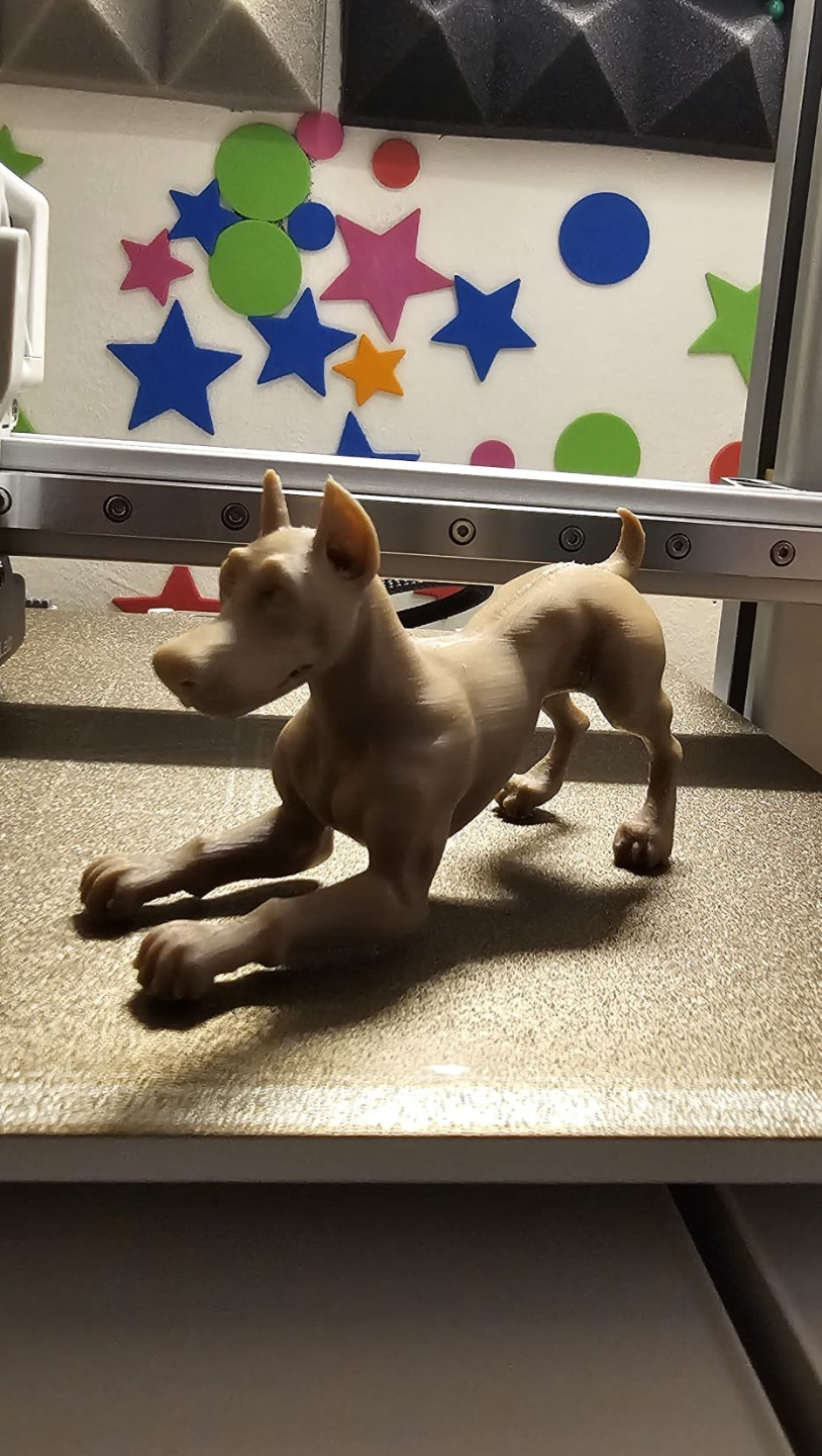 DOBERMAN(Realista