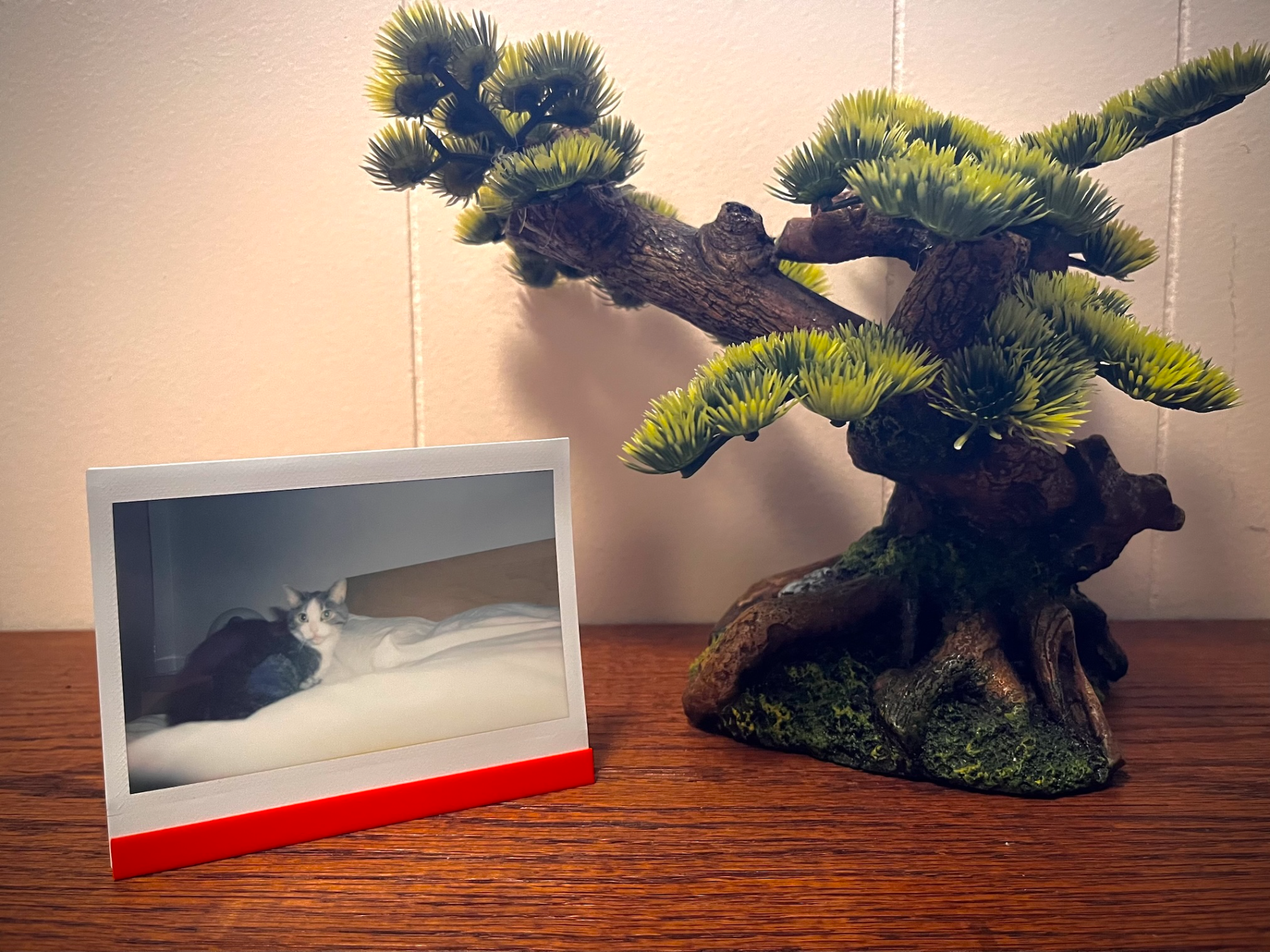 Instax Wide Stand