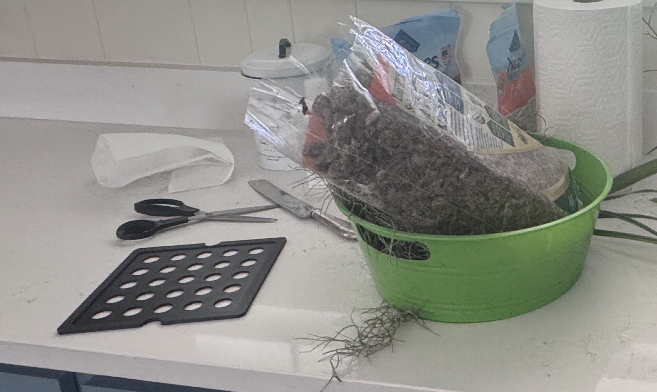 Hanging Planter Root Mount
