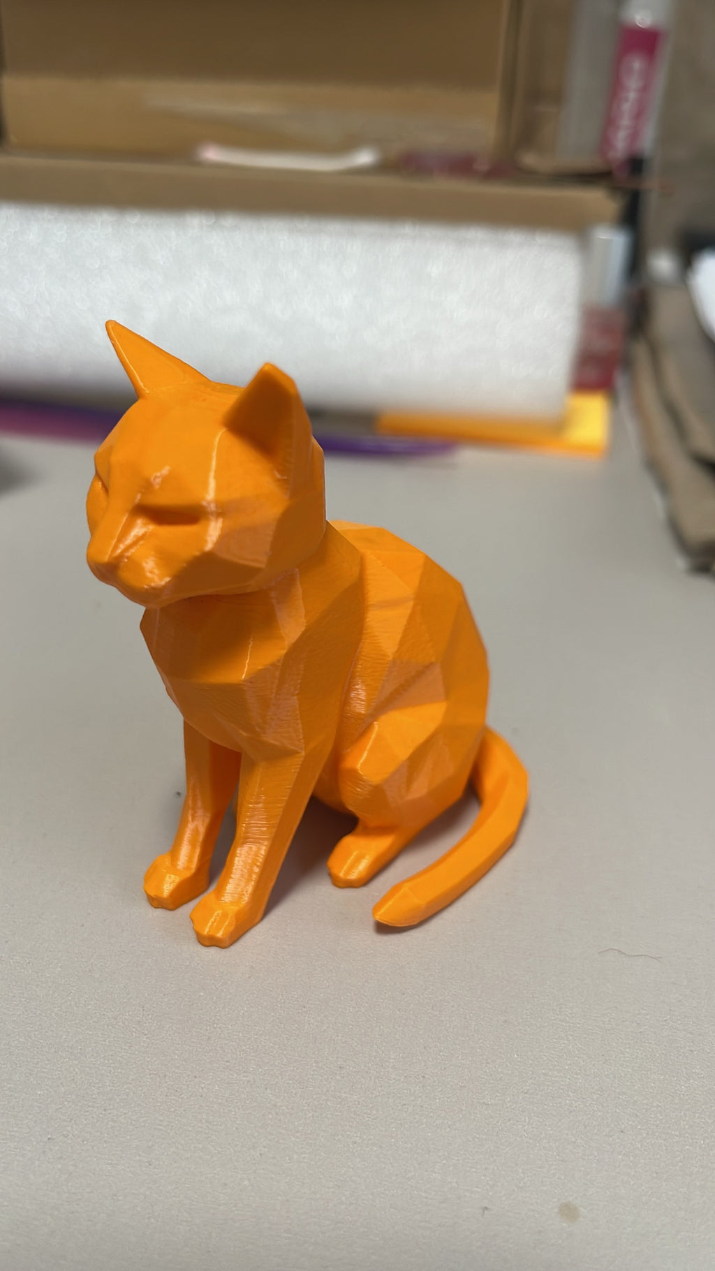 Modern Geometric Low Poly Cat Kitten