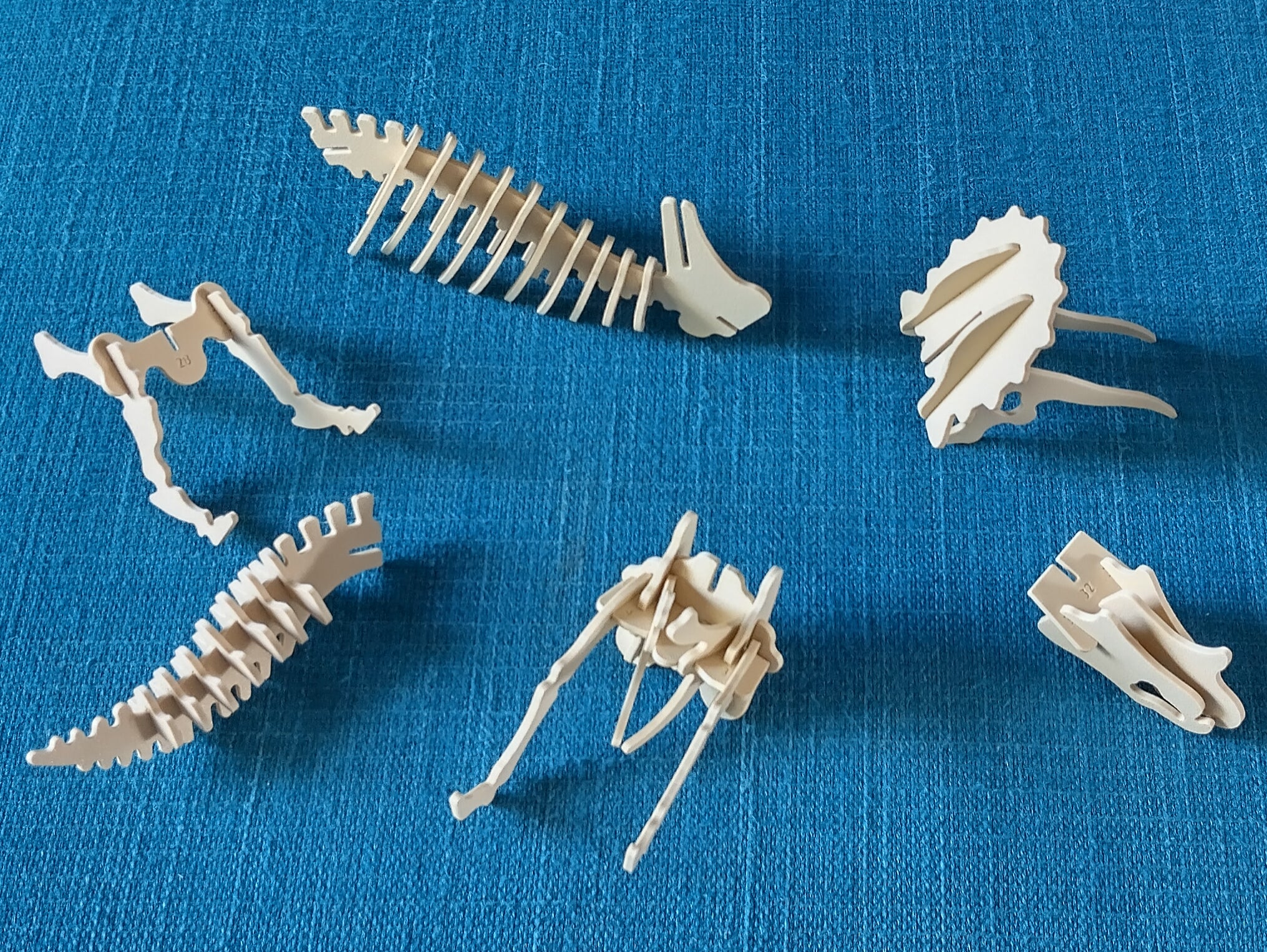 Triceratops, numbered parts