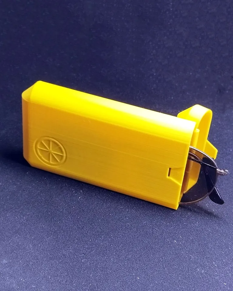 Sunglasses case