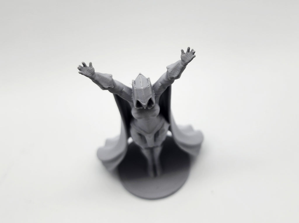 Female Knight - Praise the Sun Miniature