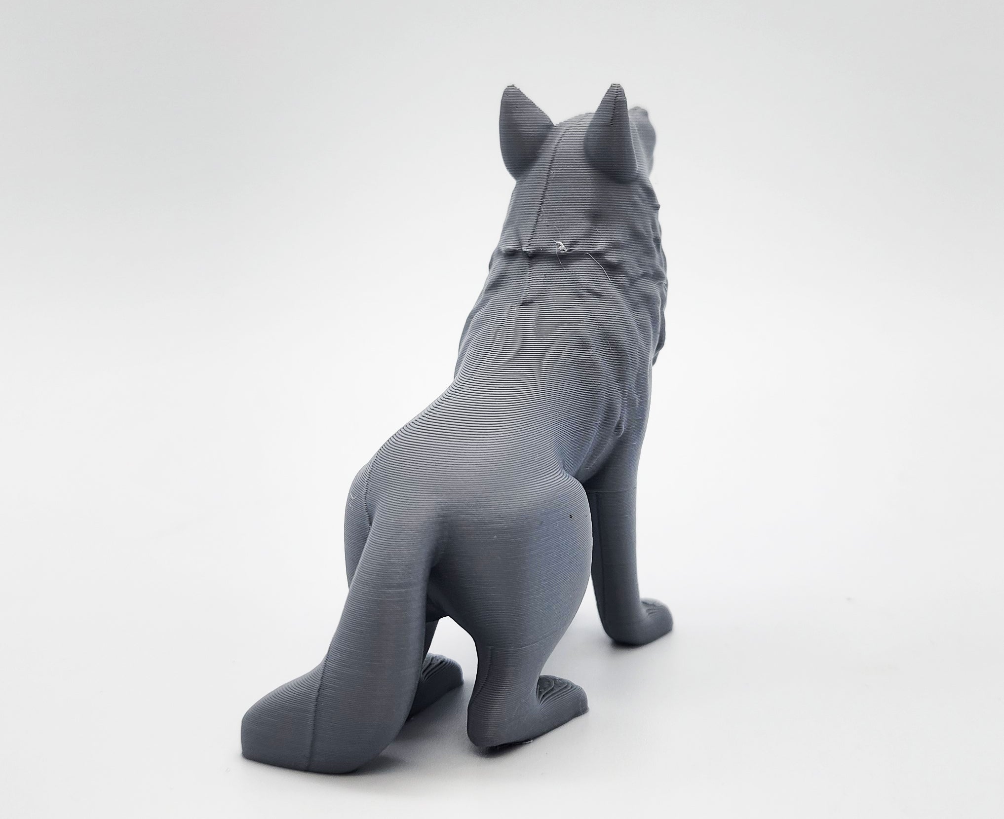 Seated Wolf
