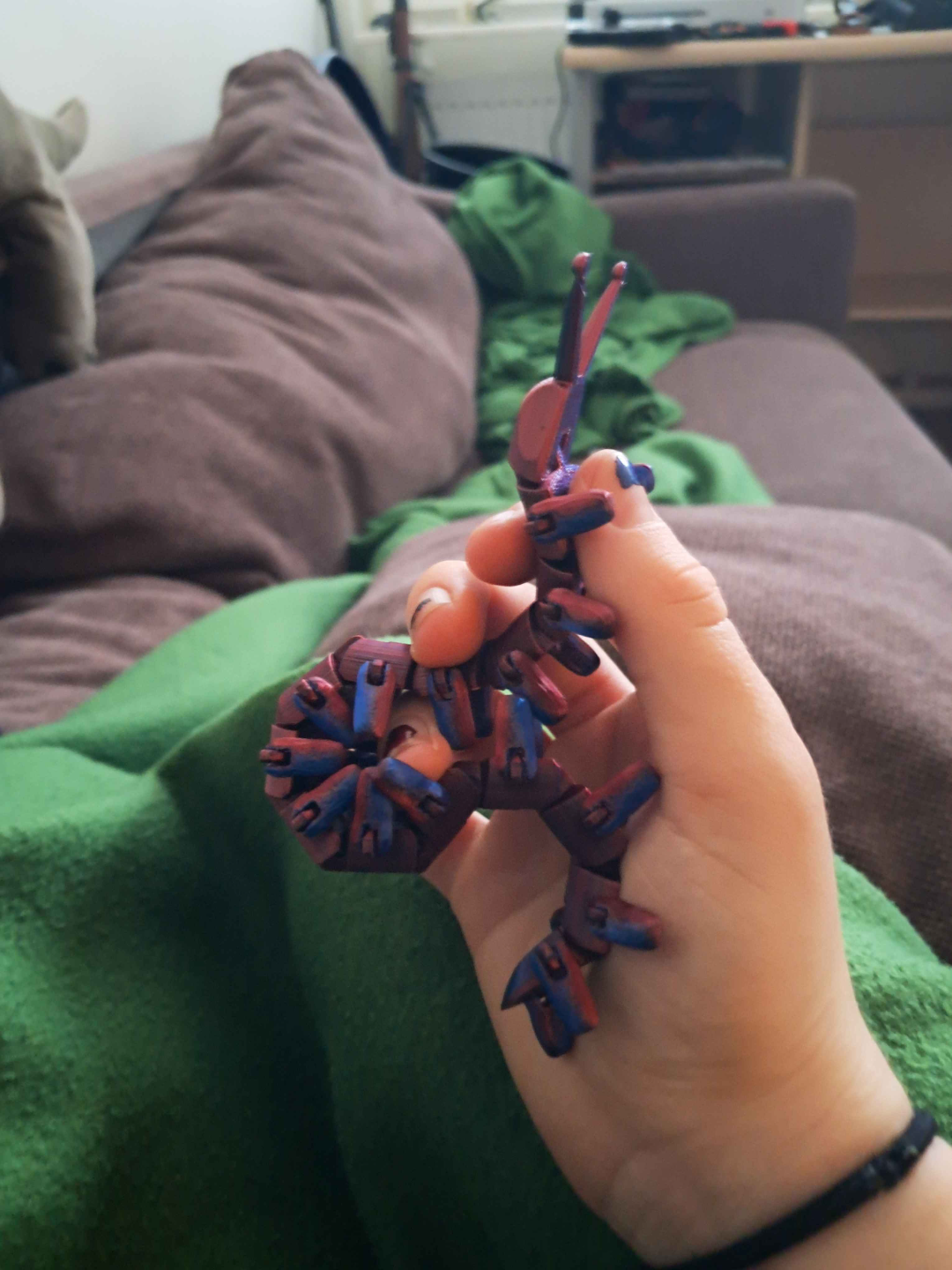 flexy Velvet worm
