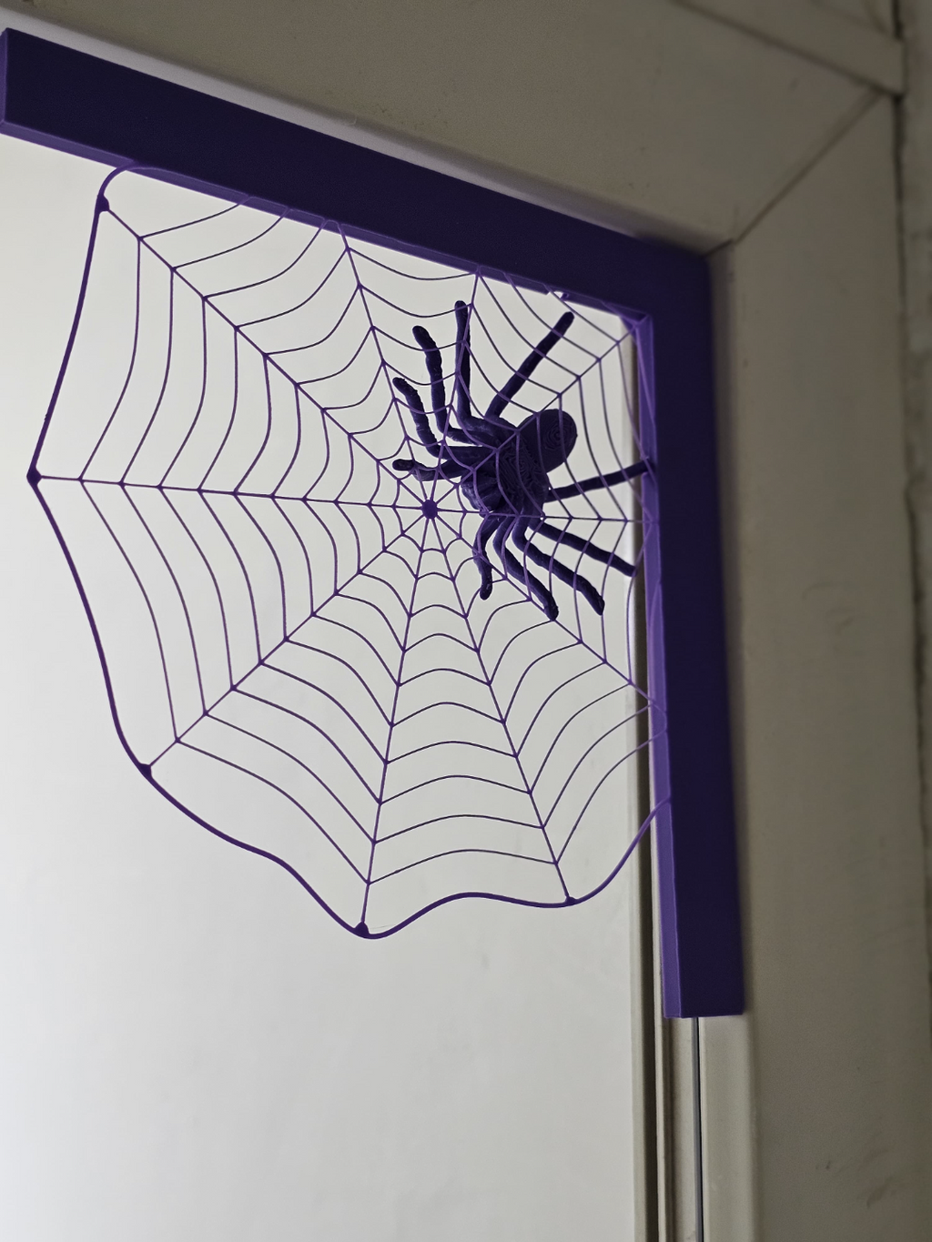 Spider in web
