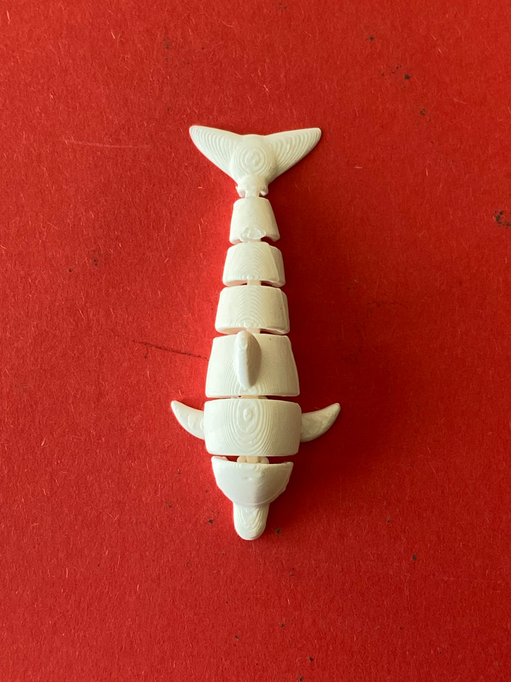 cute litle articulated dolphin
