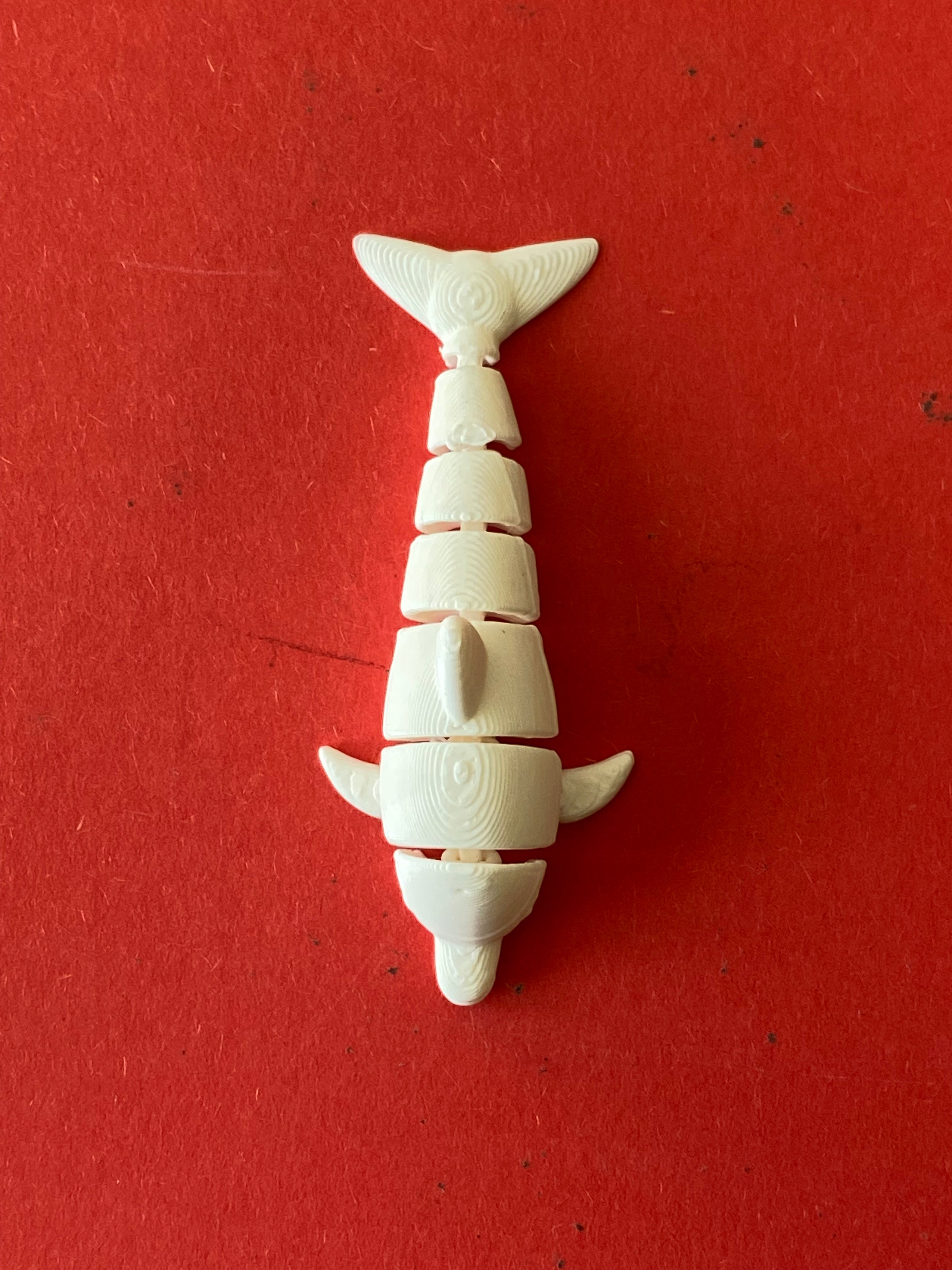 cute litle articulated dolphin