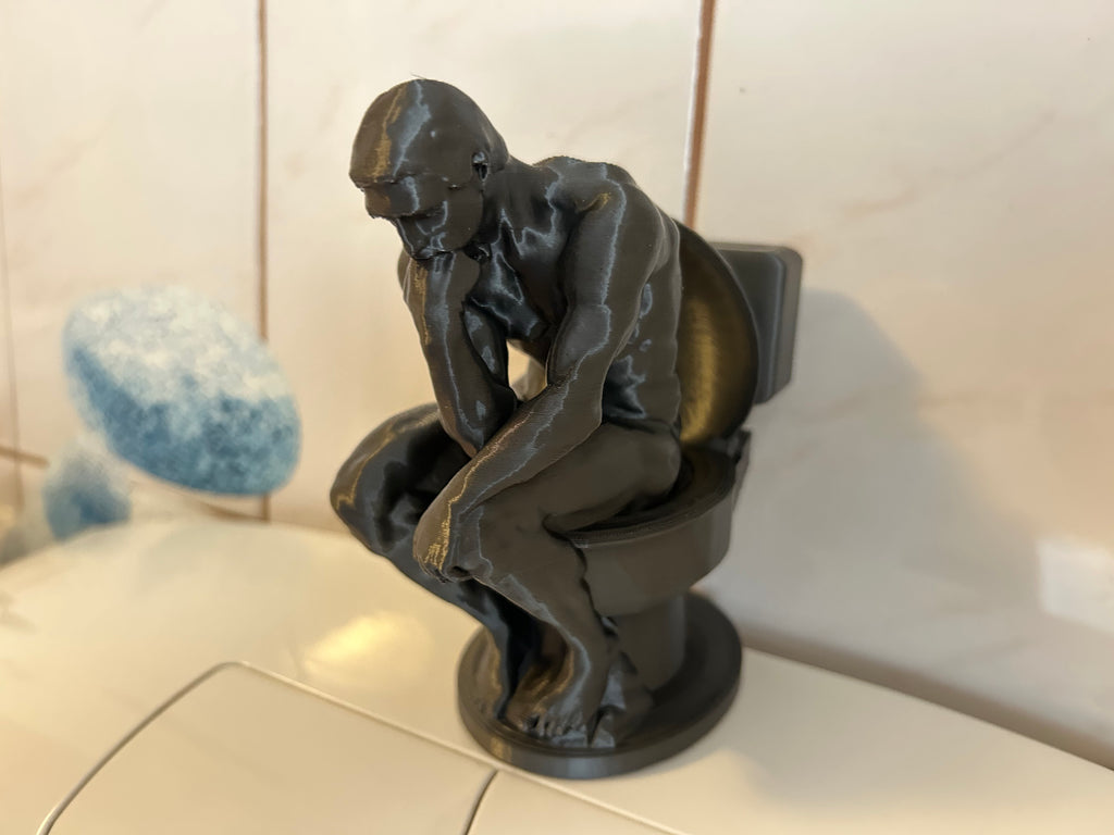 Der Denker auf dem Klo
