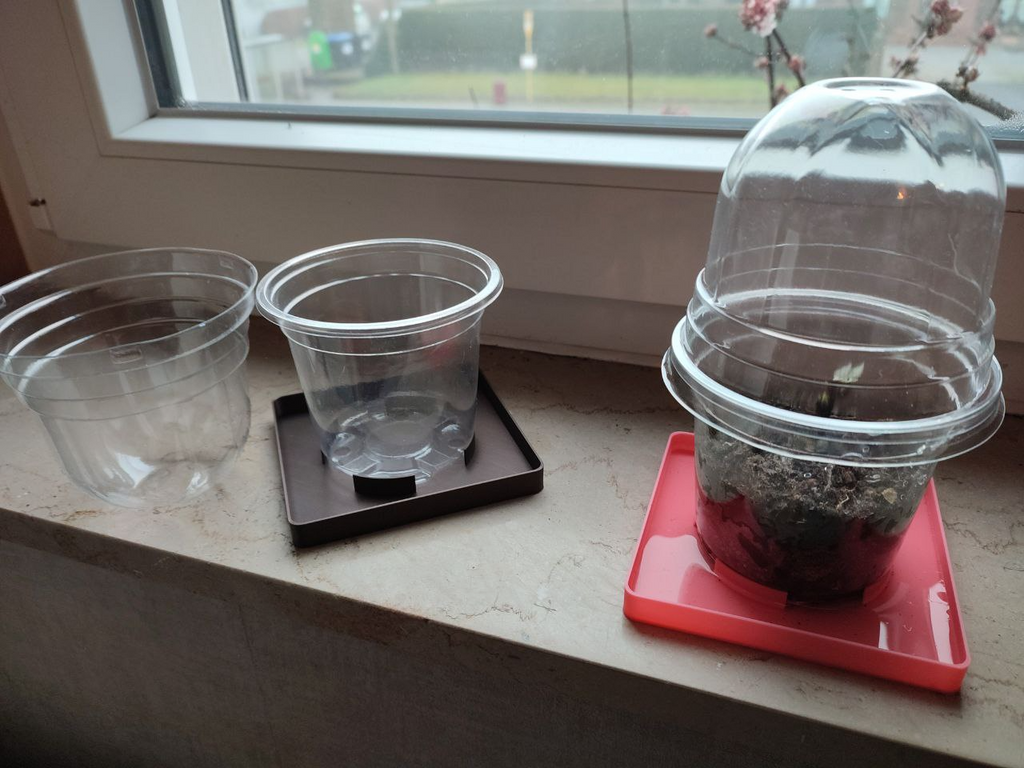 Tray fot seedling pots