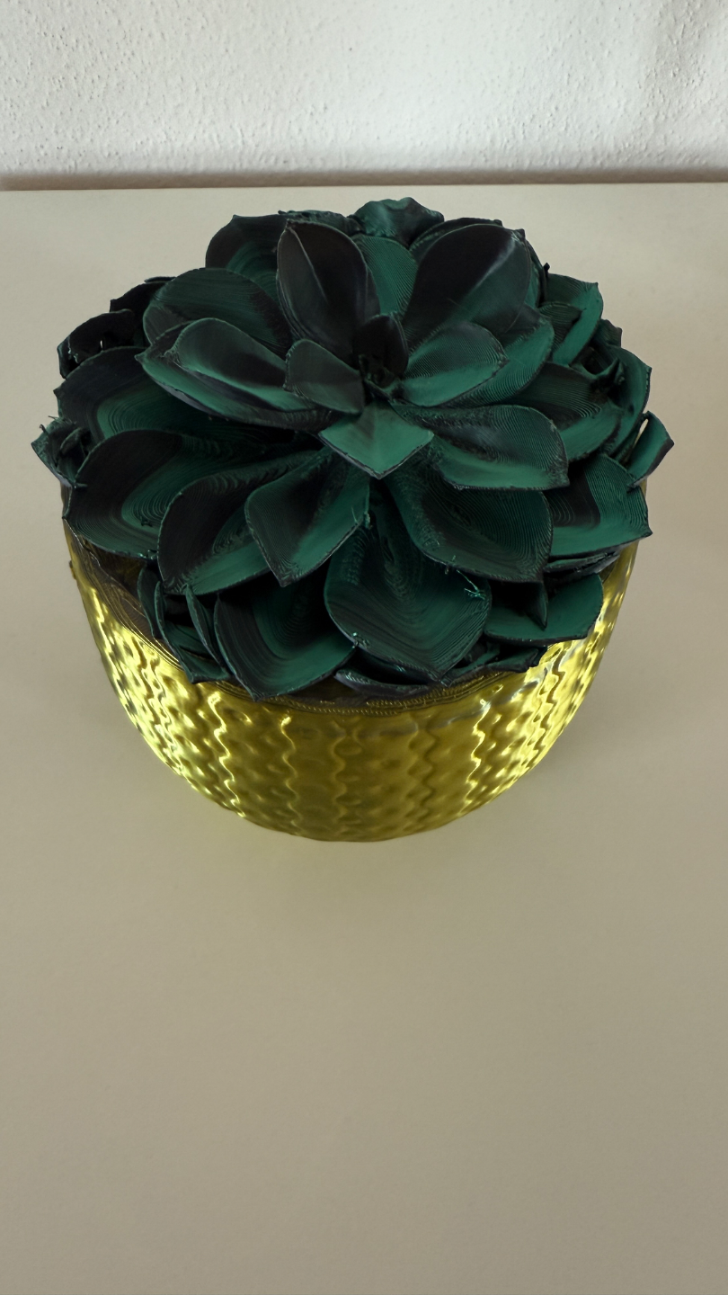Flower in a pot - květináč netřesk