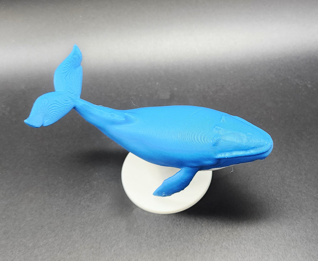 Blue Whale w/Stand AMS