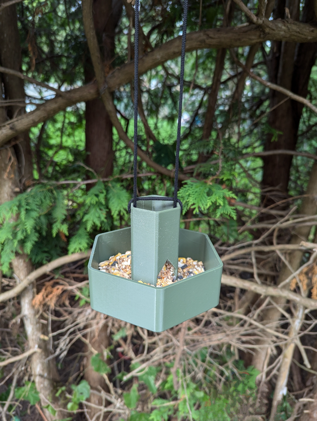 Bird Feeder
