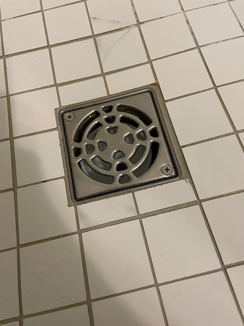 High Flow Rate Drain Catch
