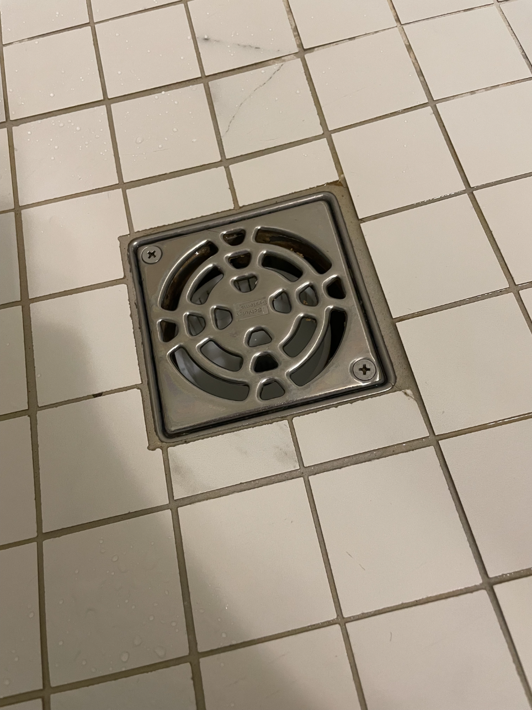 High Flow Rate Drain Catch