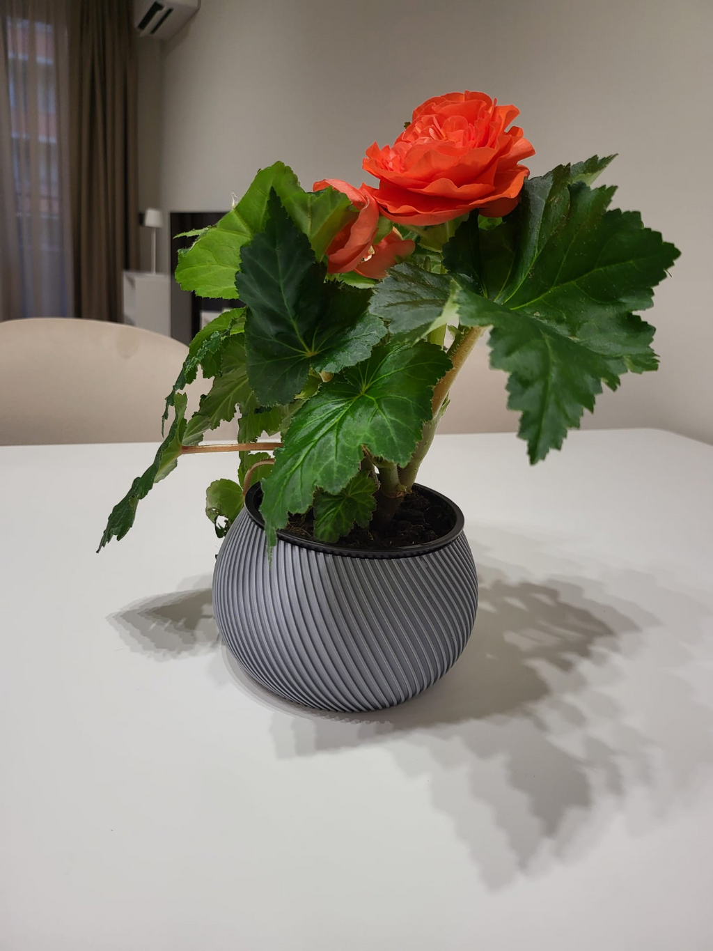 Short Wide Vase