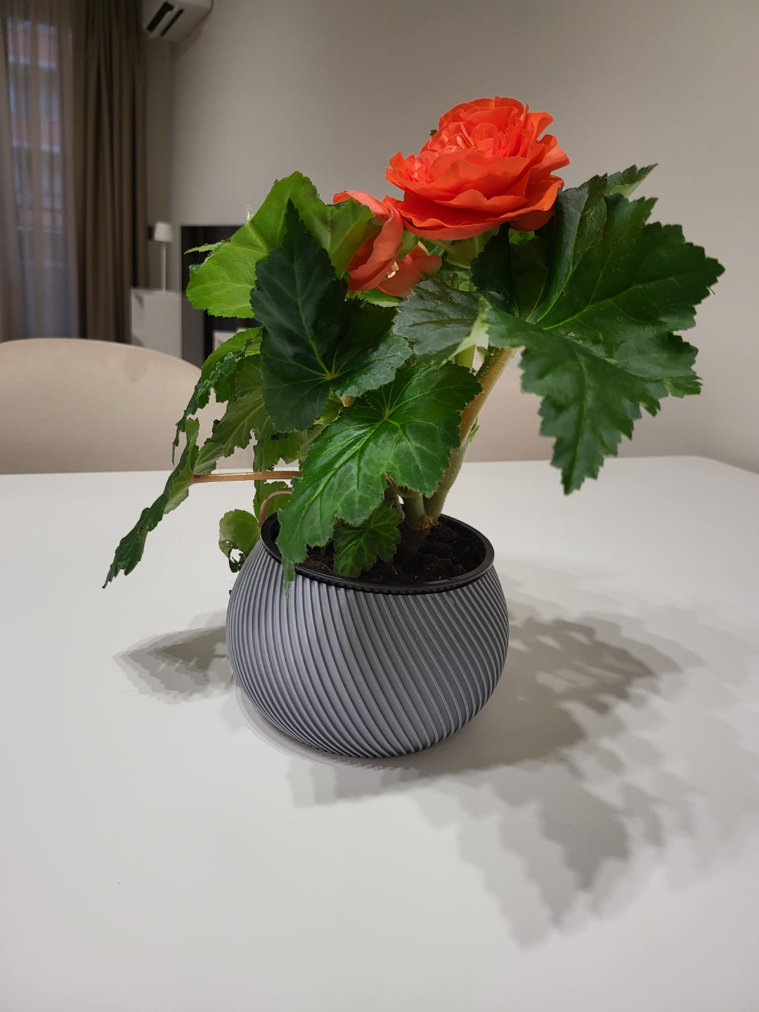 Short Wide Vase