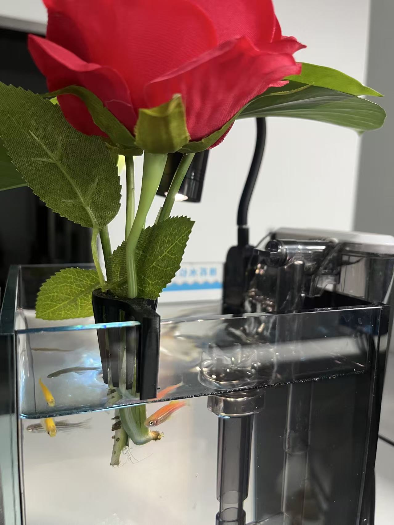 鱼缸-小植物定植栏