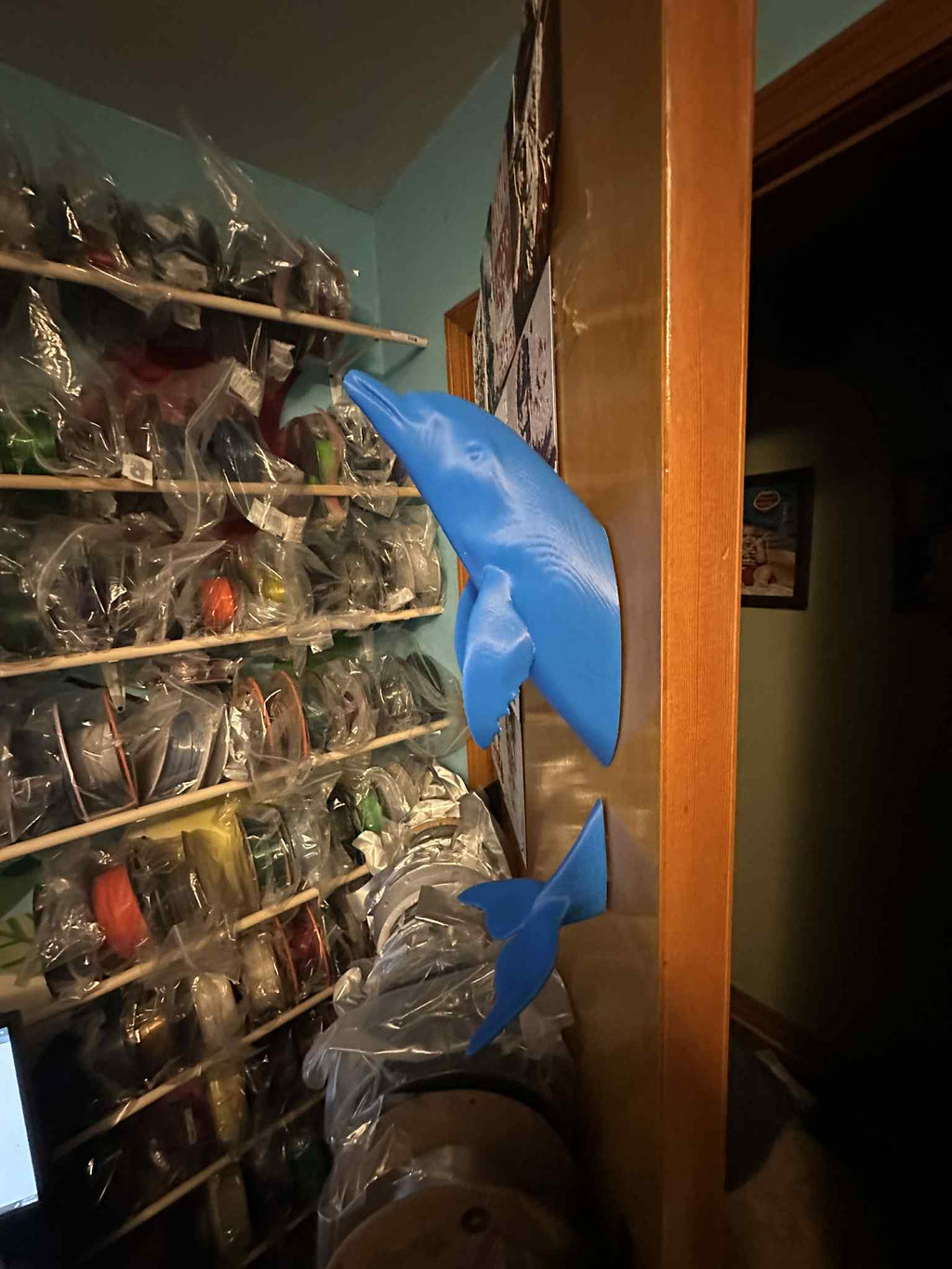 Dolphin out of wall