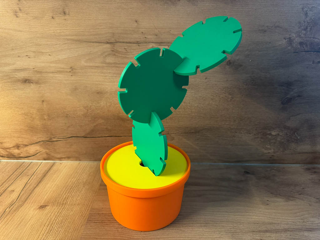 Cactus coaster/toy