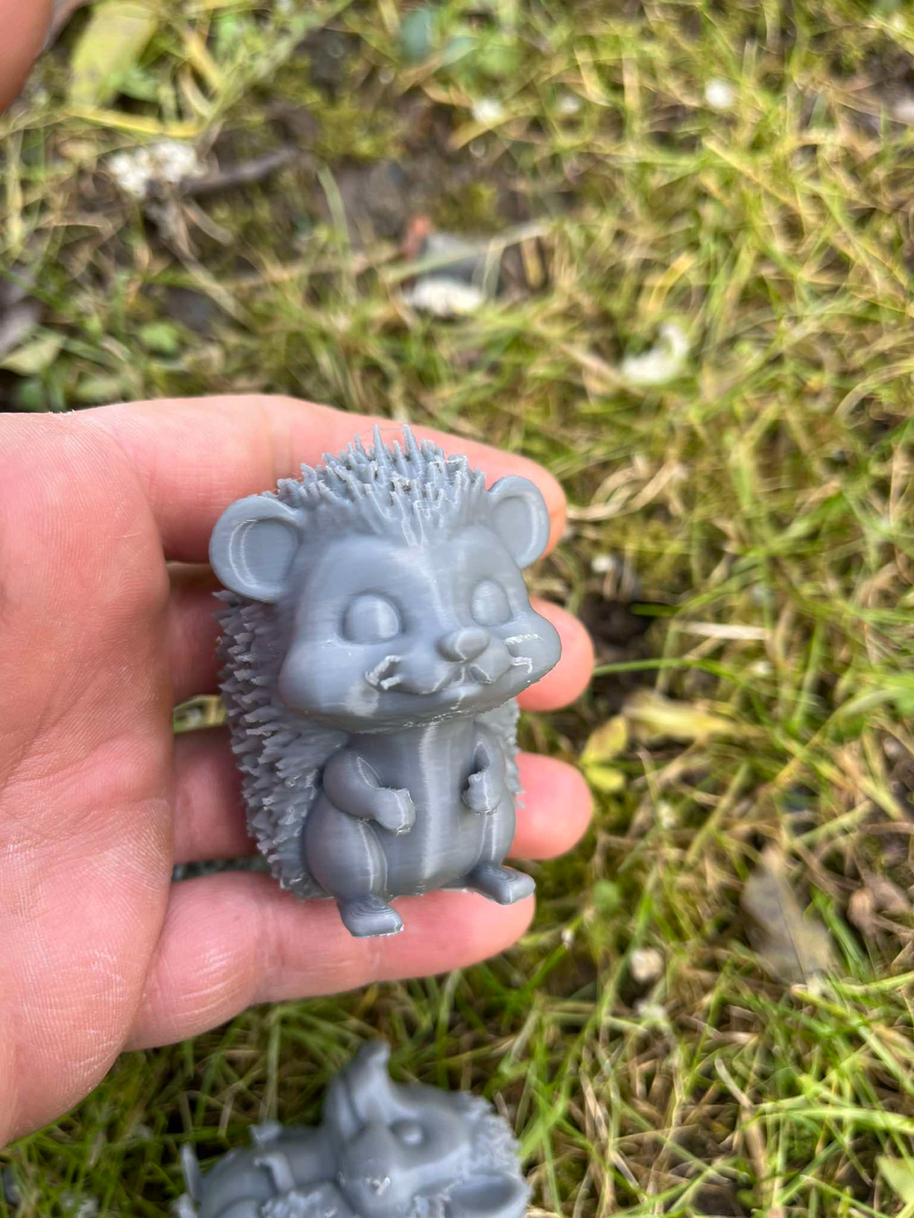 Hedgehog Family