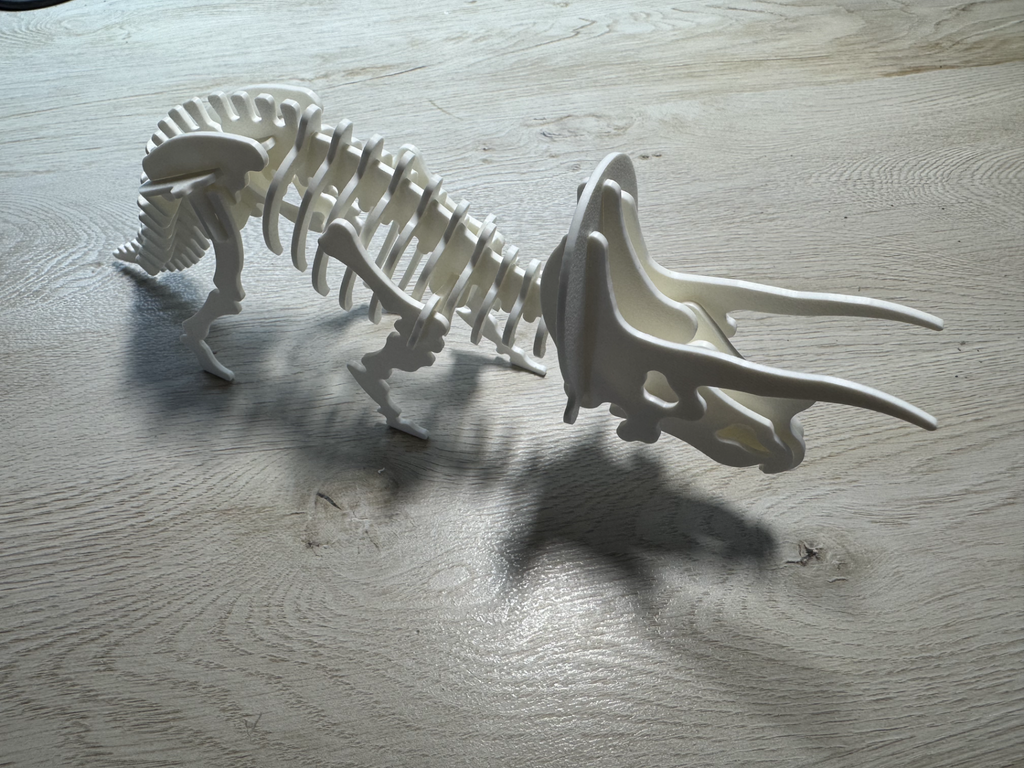 Triceratops Dinosaur Skeleton Puzzle