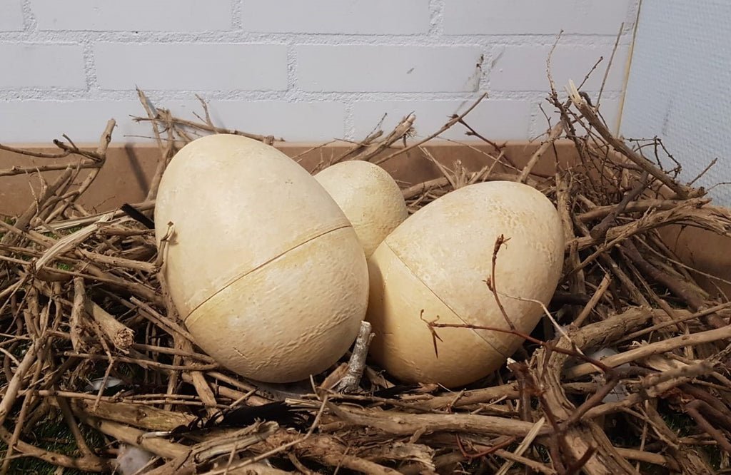 Dinosaur egg