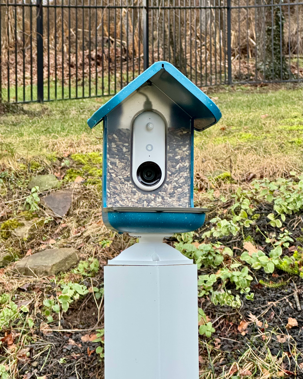 Bird Buddy 4x4 Post Mount