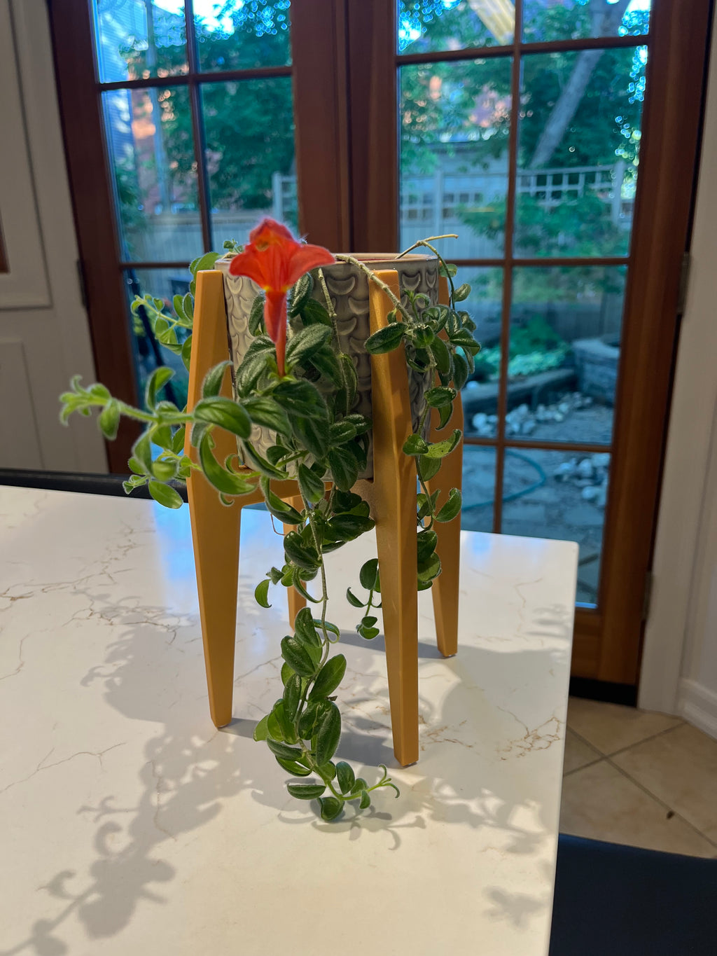 Plant stand for IKEA 9cm Chiafron Plant Pot