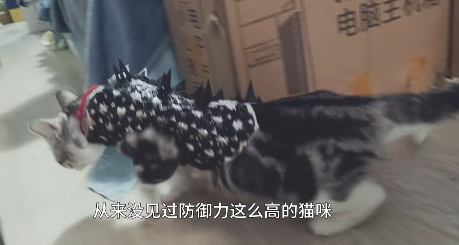 猫咪、小狗、宠物战斗铠甲、宠物衣服、 Pet Clothes