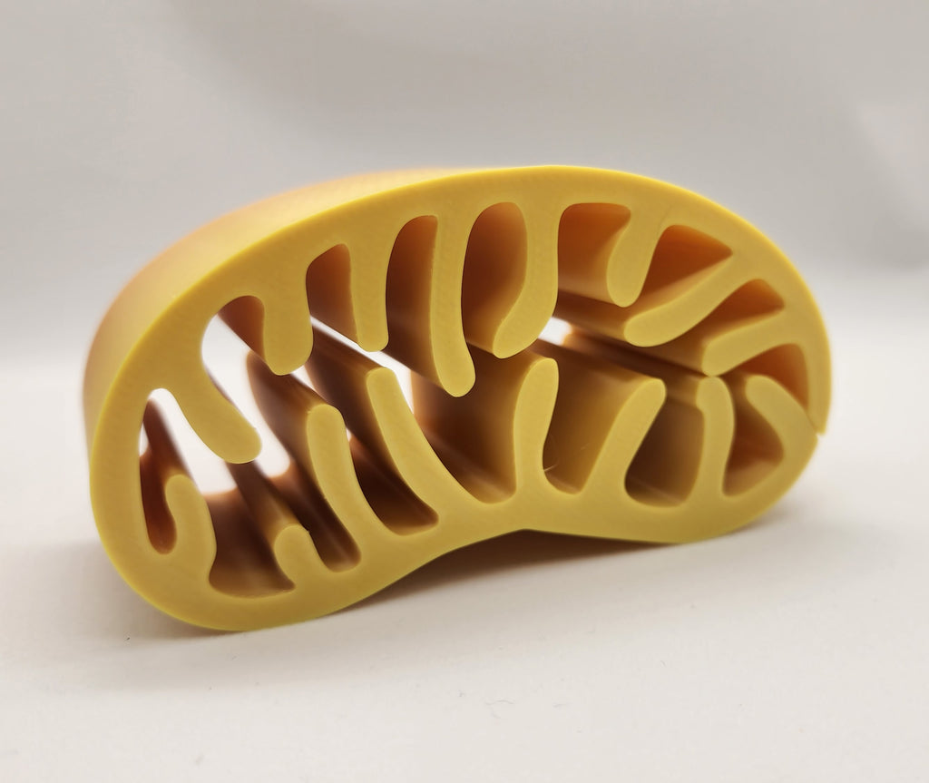 Mitochondria Spiral Vase
