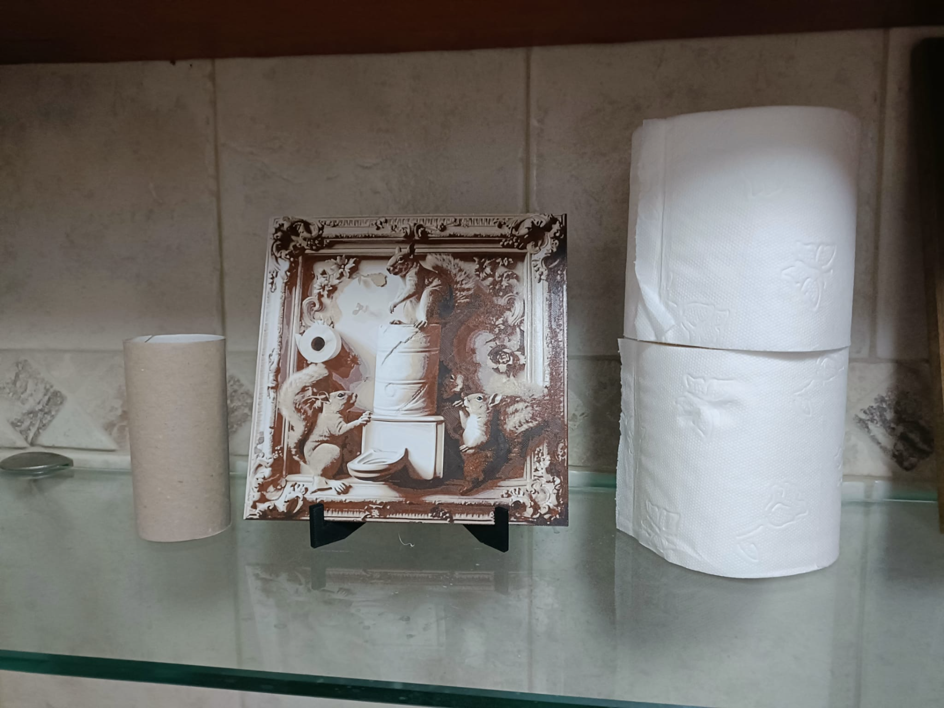 Squirrels Stealing Toilet Paper