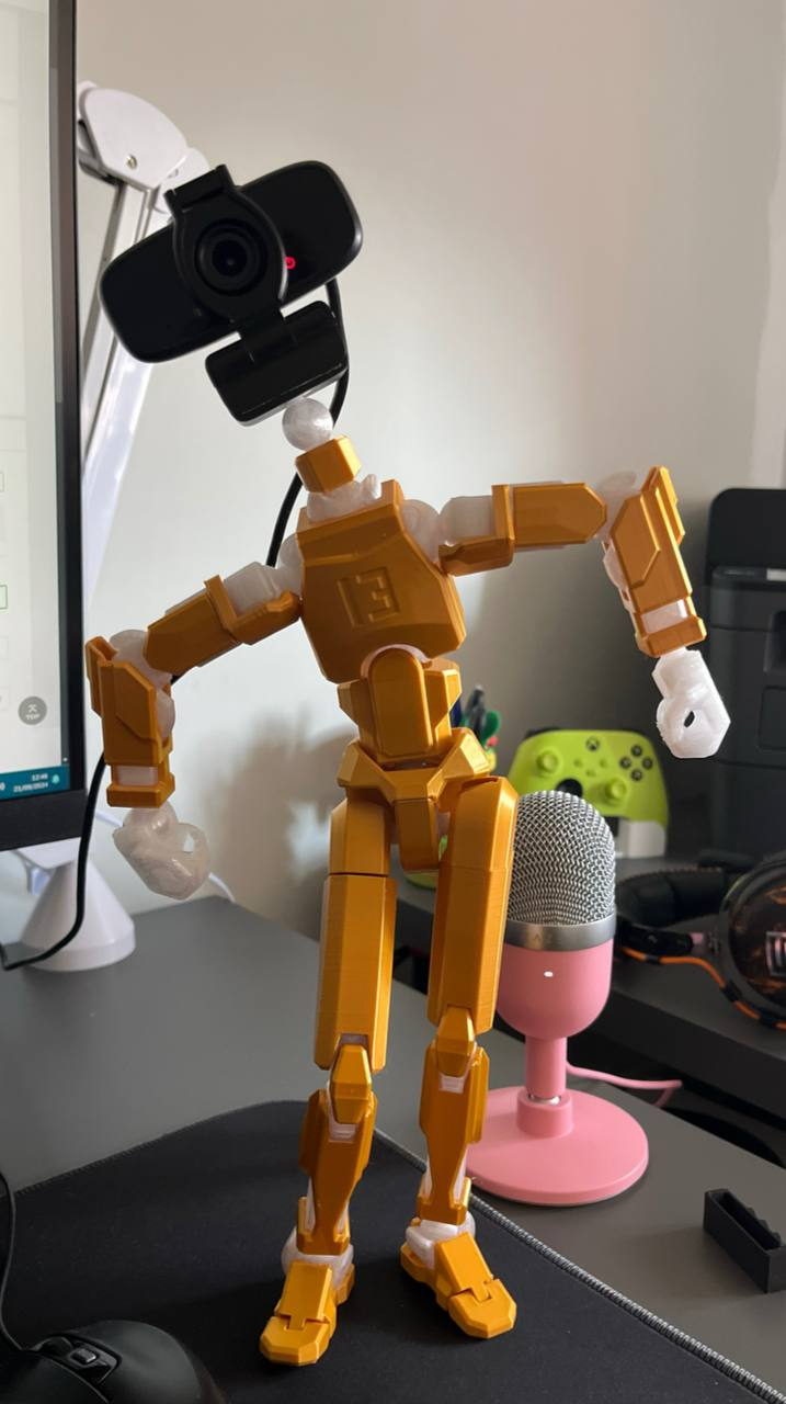 Dummy 13 Version 1.0, 256% scaled, webcam neck