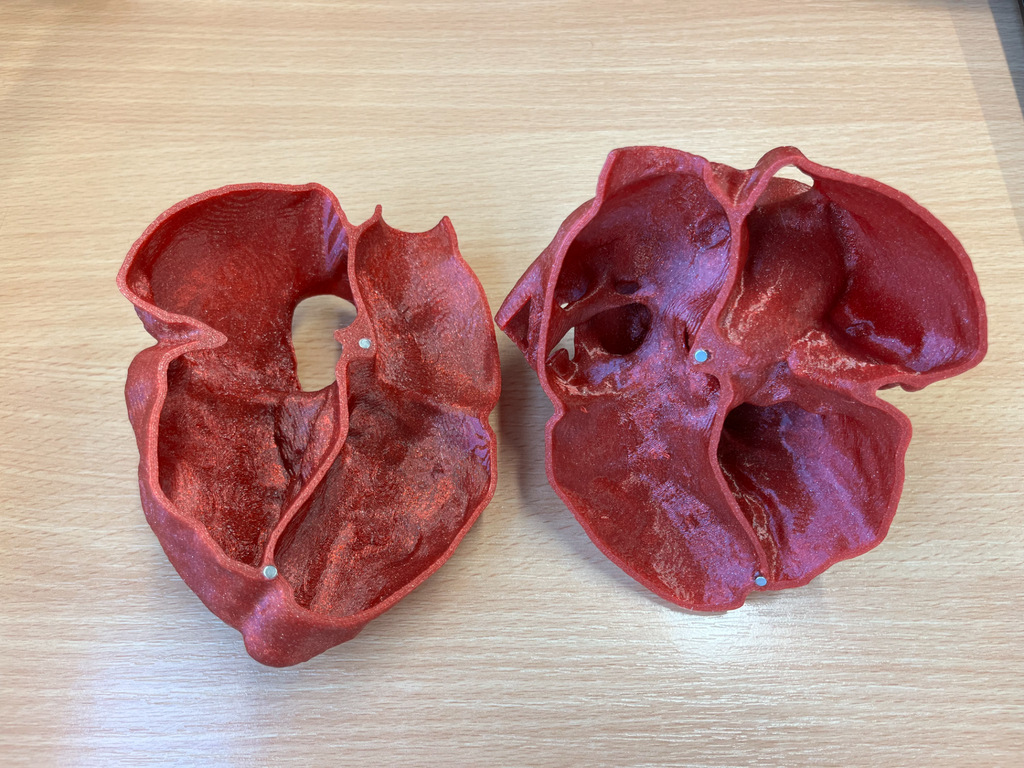 Human hearth