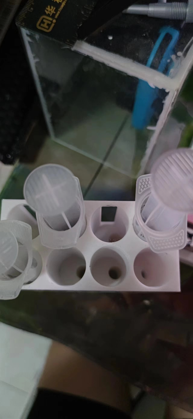 针管支架