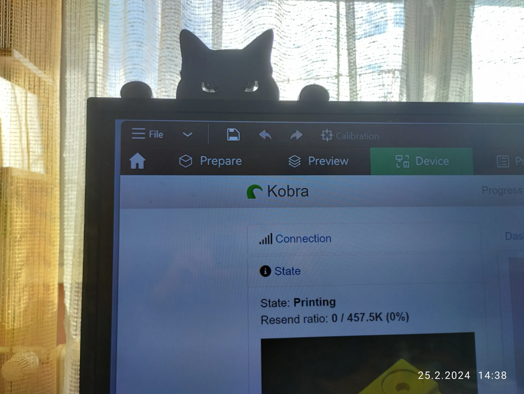 black Cat Silhouette (1 print)