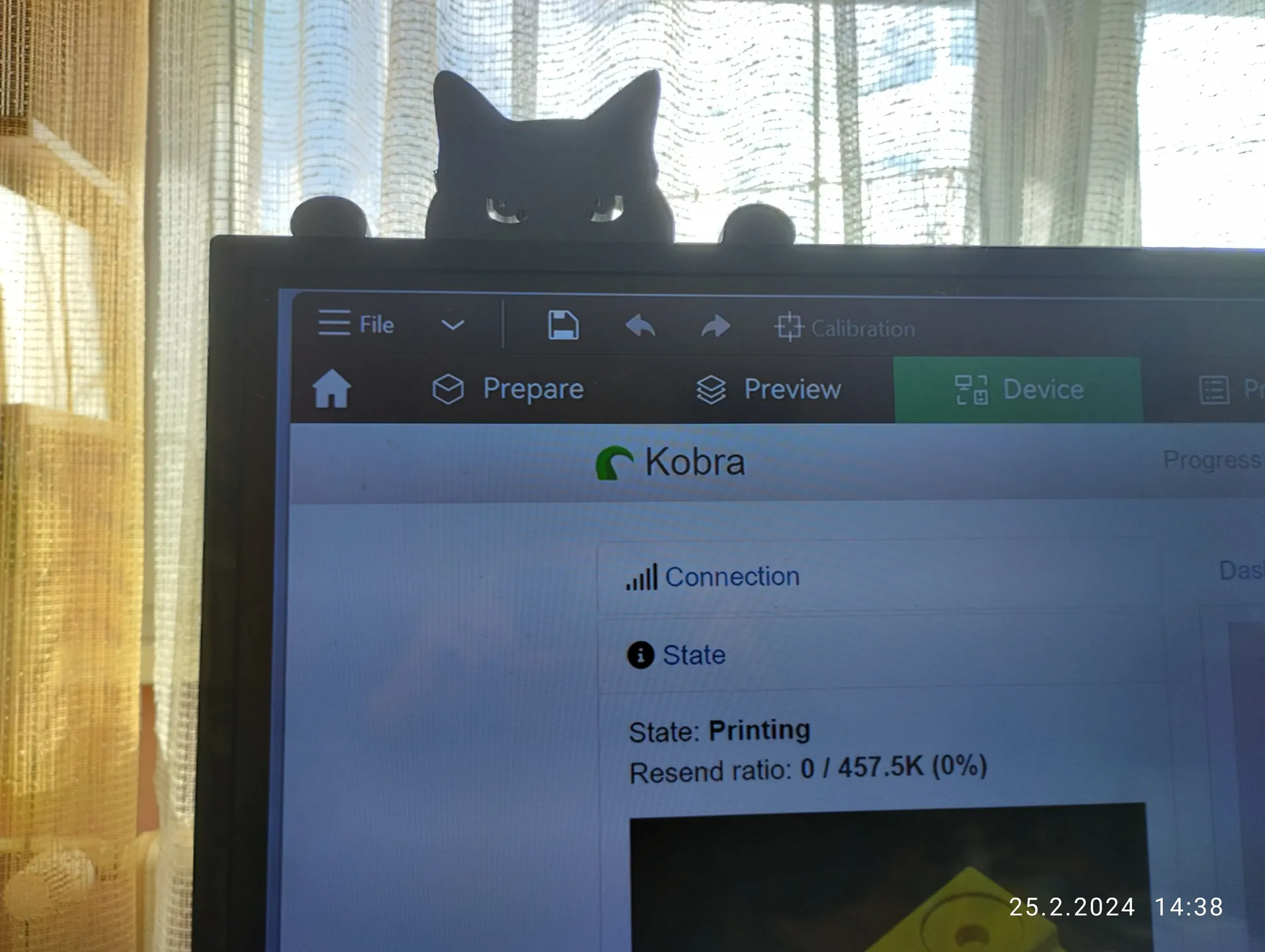 black Cat Silhouette (1 print)