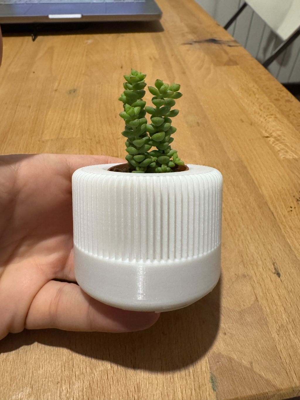 Modern quick little vase