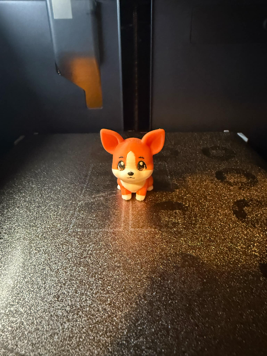 Cute Corgi