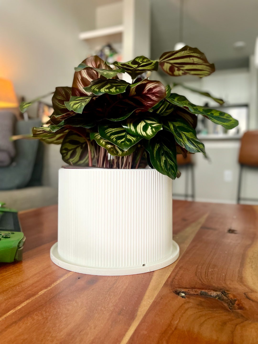 6 Inch Planter (Midcentury Modern)