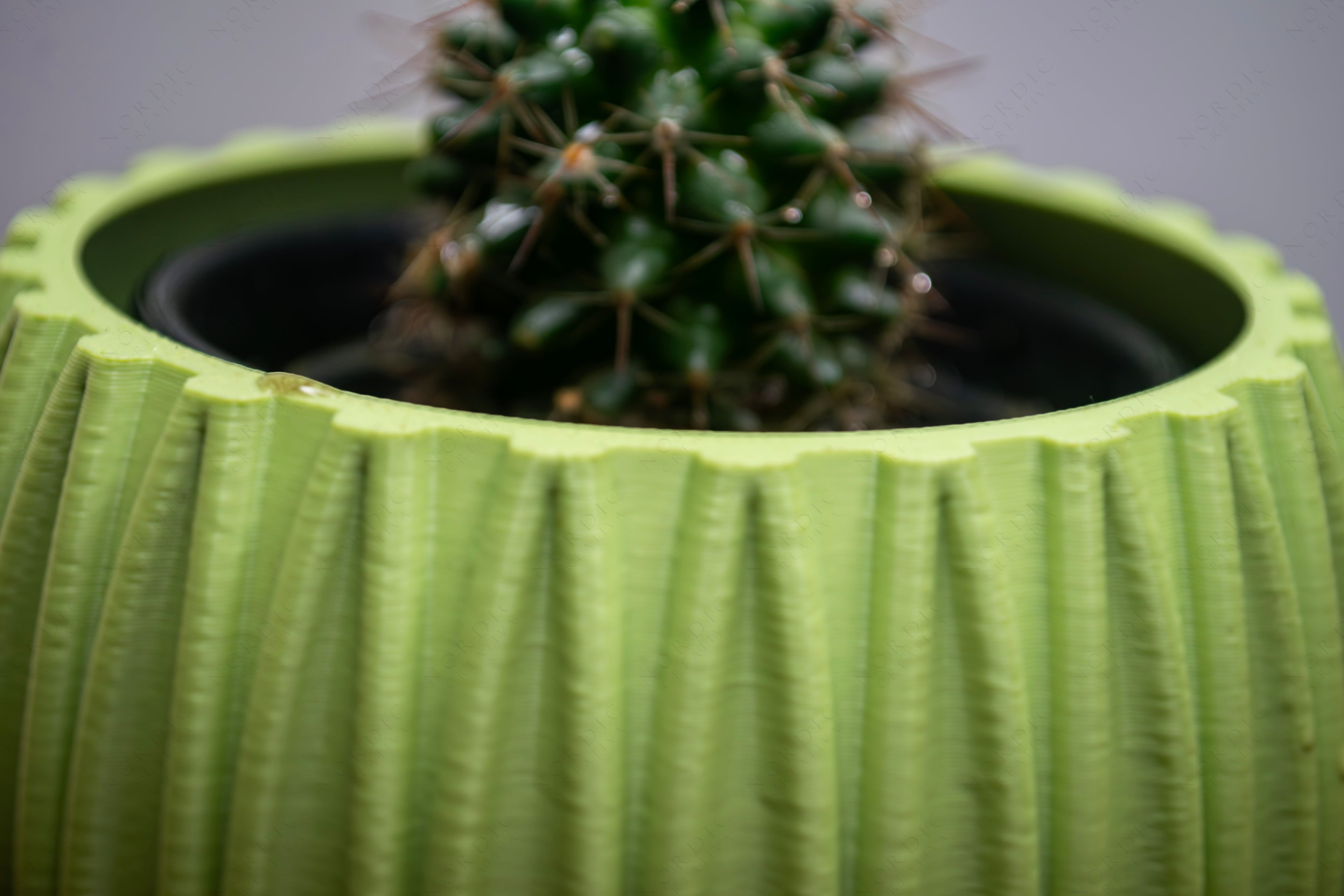 Indoor Plant Pot with Base Free Commercial License