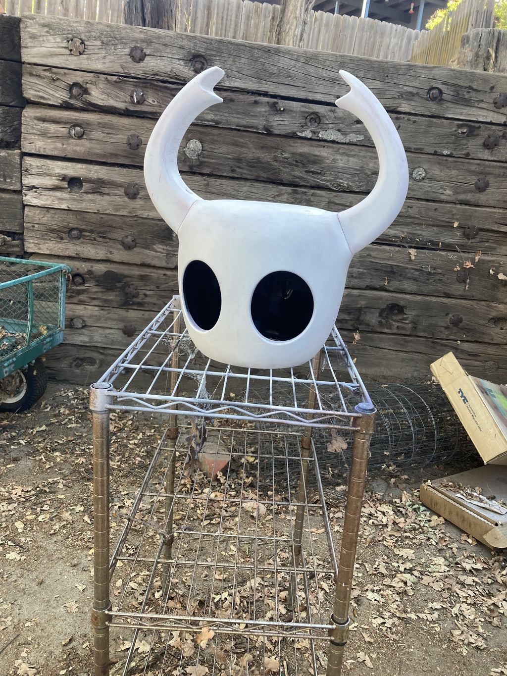Mask hollow knight