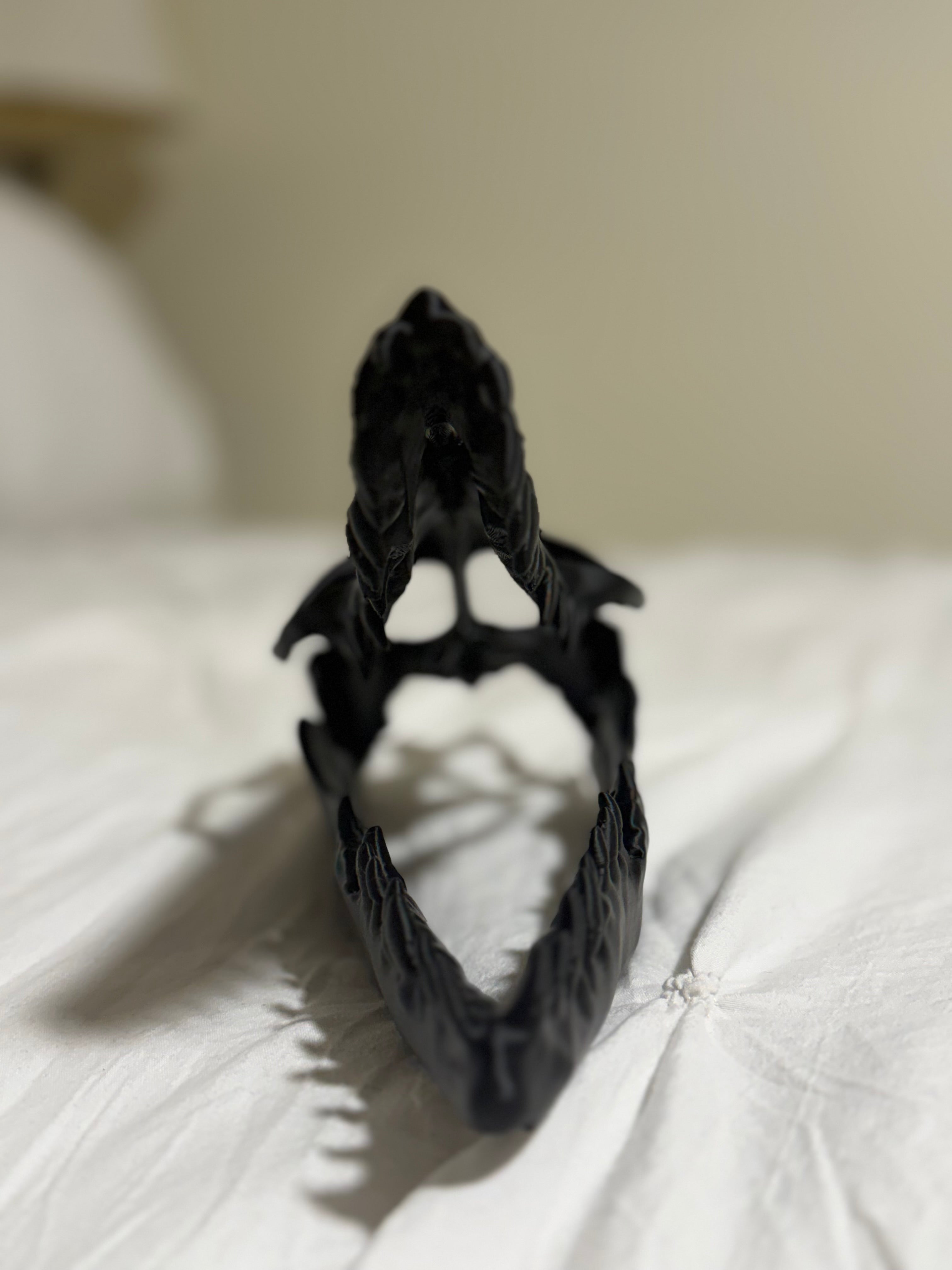Mosasaurus Skull