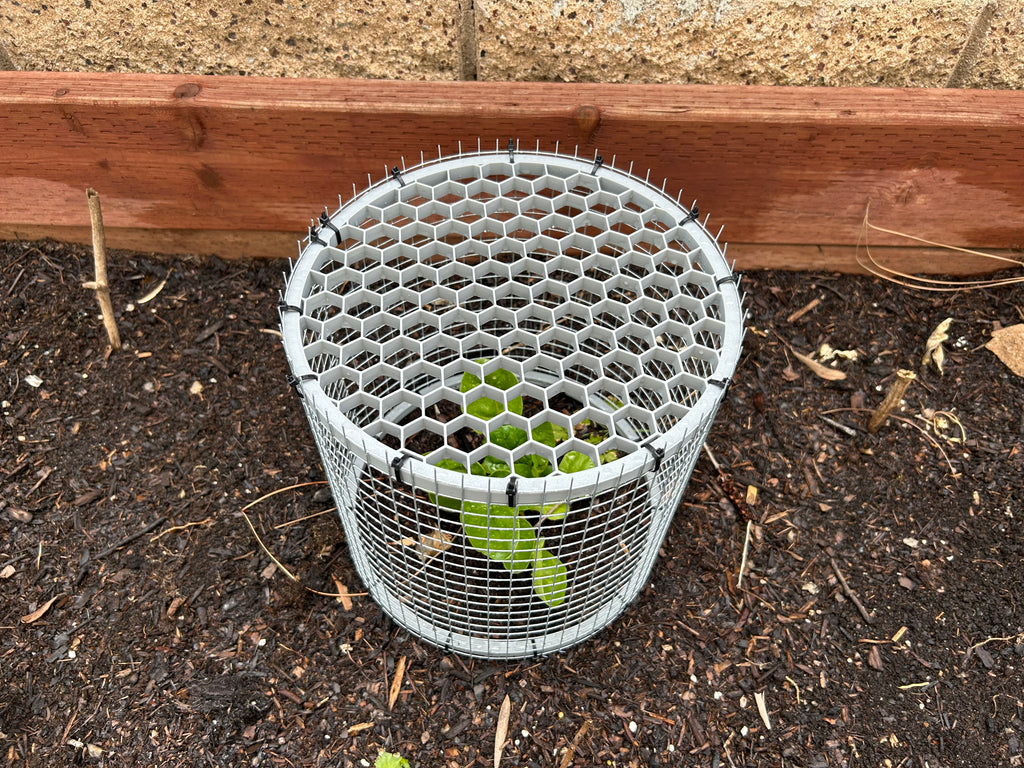Plant cage ends (cylinder version)